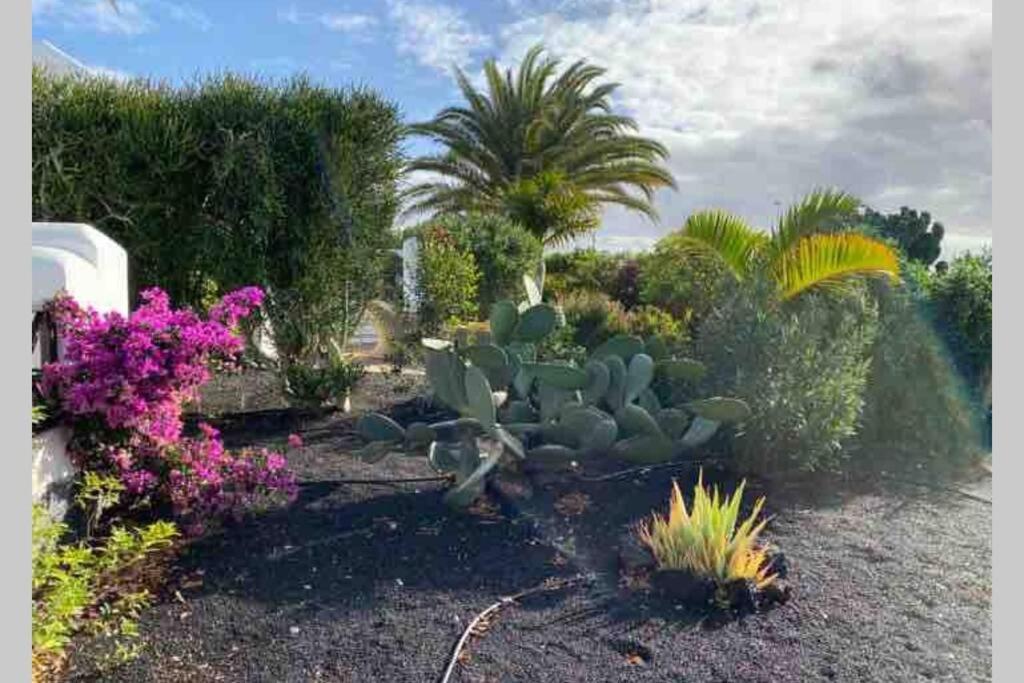 Villa Isa Sea Views Playa Blanca  Exteriör bild