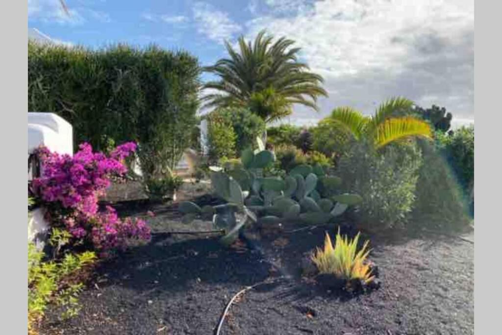 Villa Isa Sea Views Playa Blanca  Exteriör bild